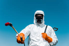 Best Termite Inspection and Treatment  in Libertyvle, IL